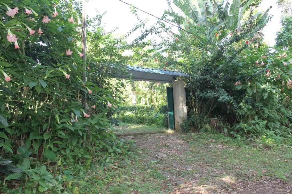Bema Farm Sao Jose Exterior foto