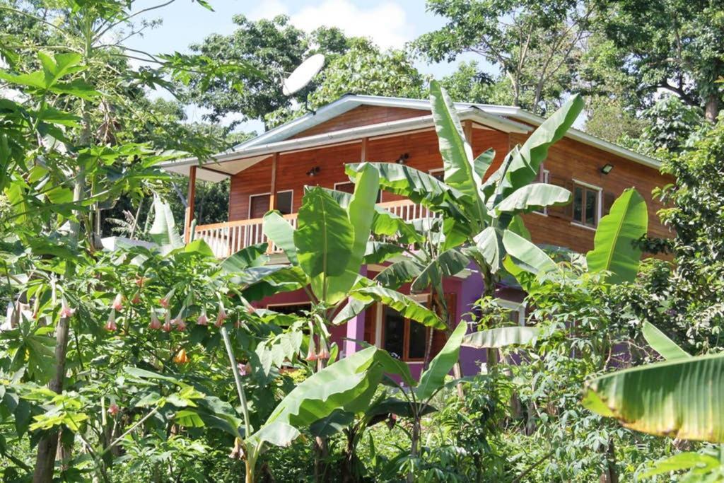 Bema Farm Sao Jose Exterior foto